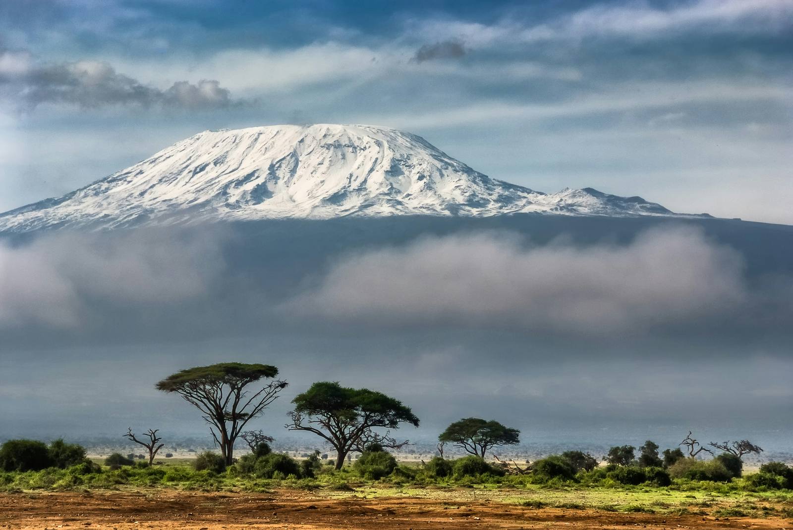 Amboseli Kilimanjaro Views — photo 3