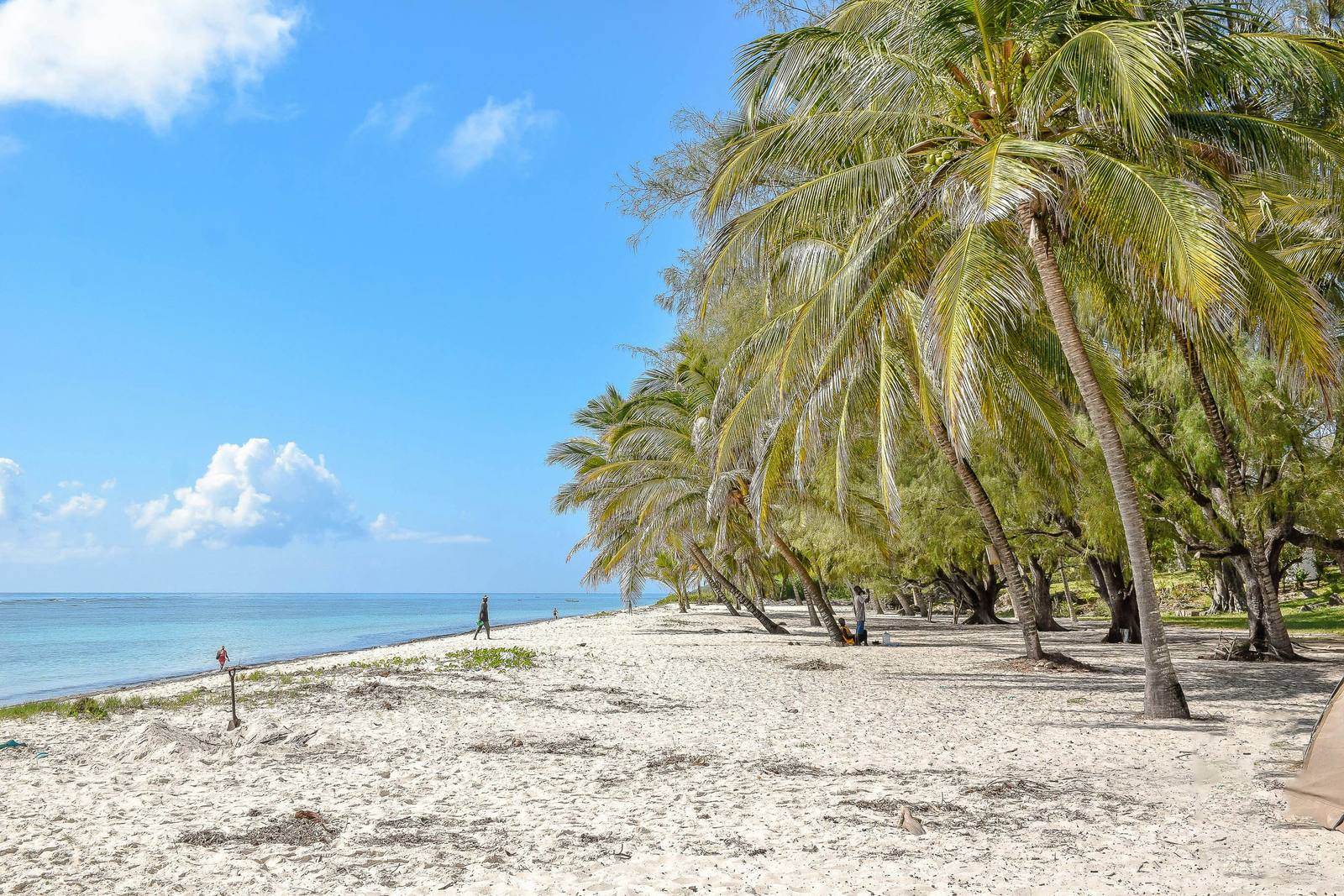 Coast - Mombasa Beach Retreat — photo 1