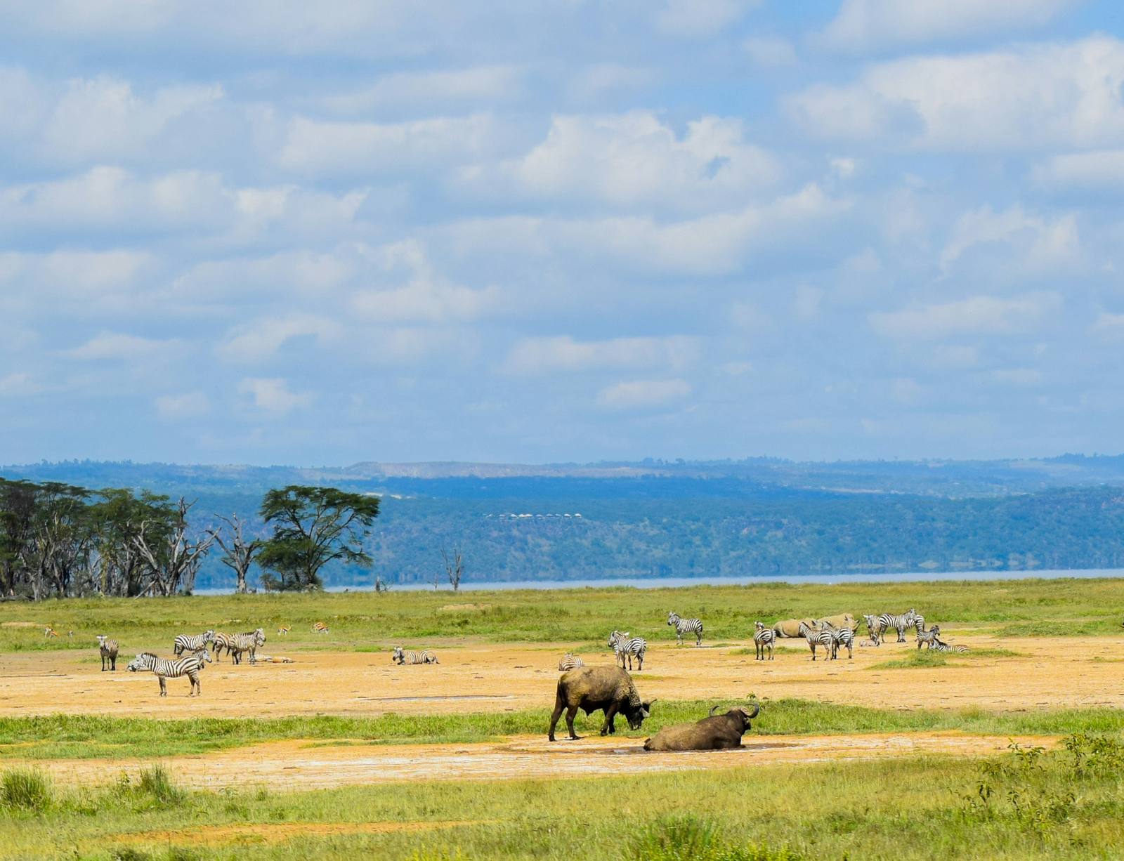 Family Safari: Big Five & Maasai Culture — photo 1