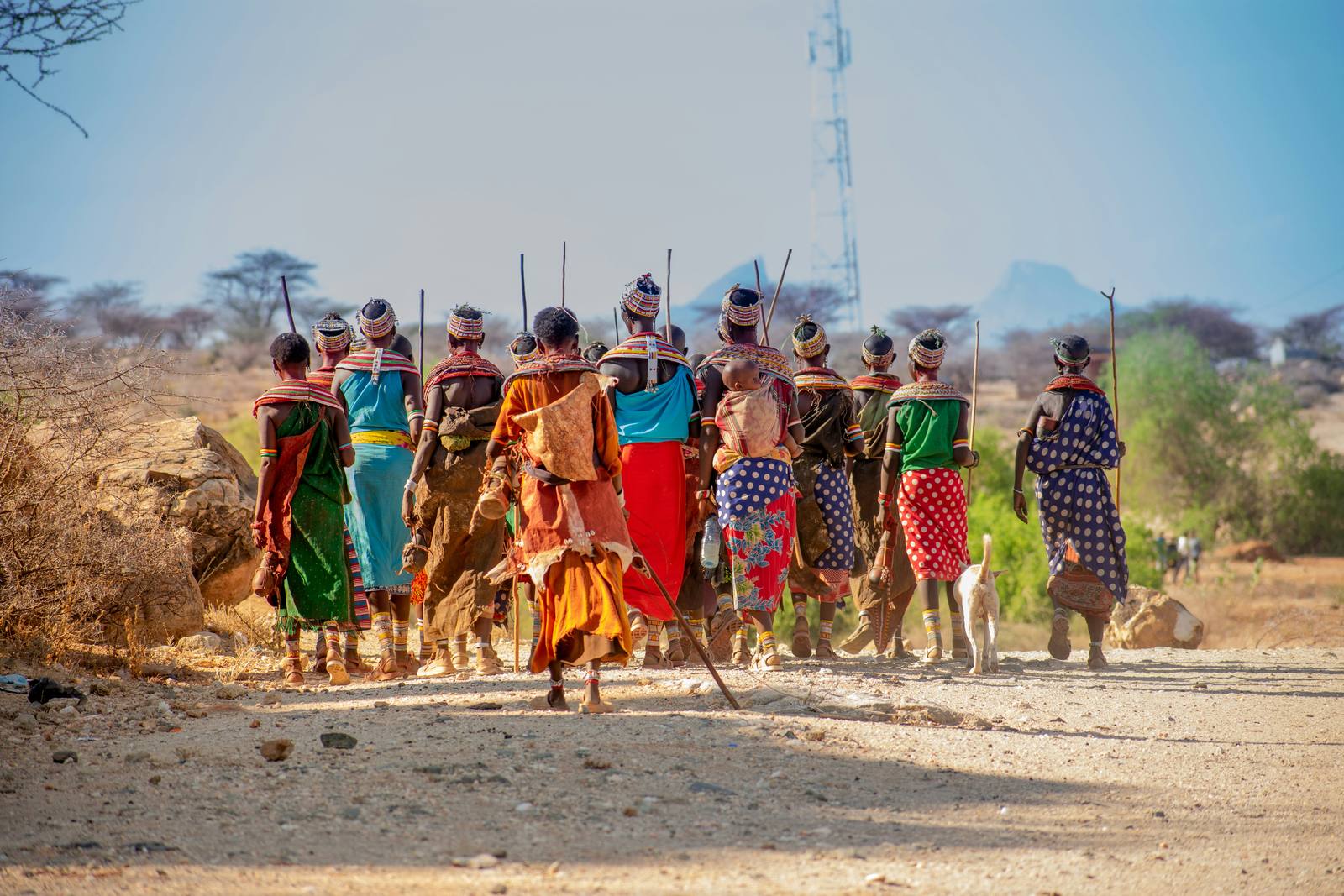Samburu warriors in traditional dress