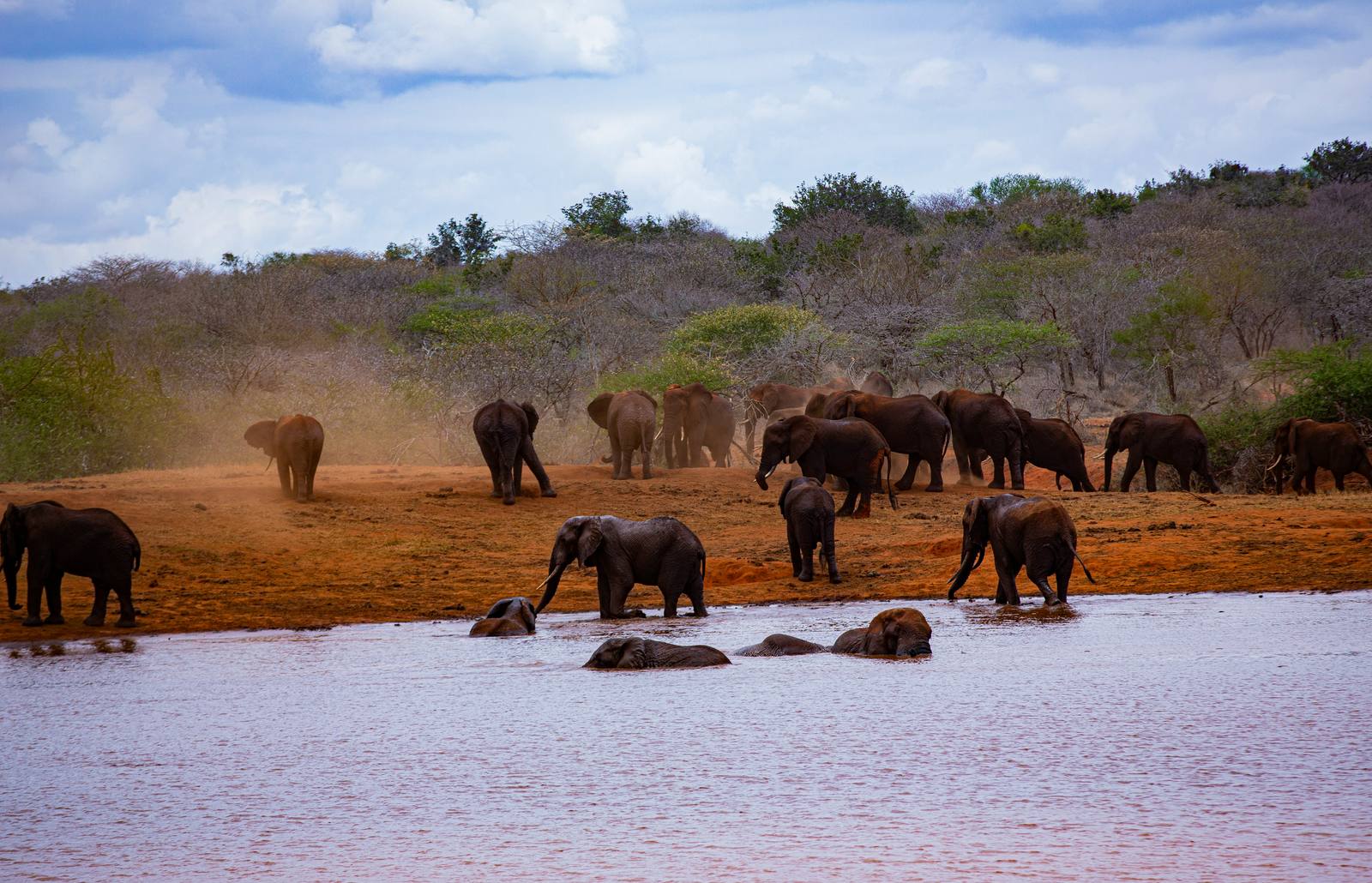 Red Elephant Wilderness: Amboseli & Tsavo West Safari — Amboseli, Tsavo West, Taita Hills
