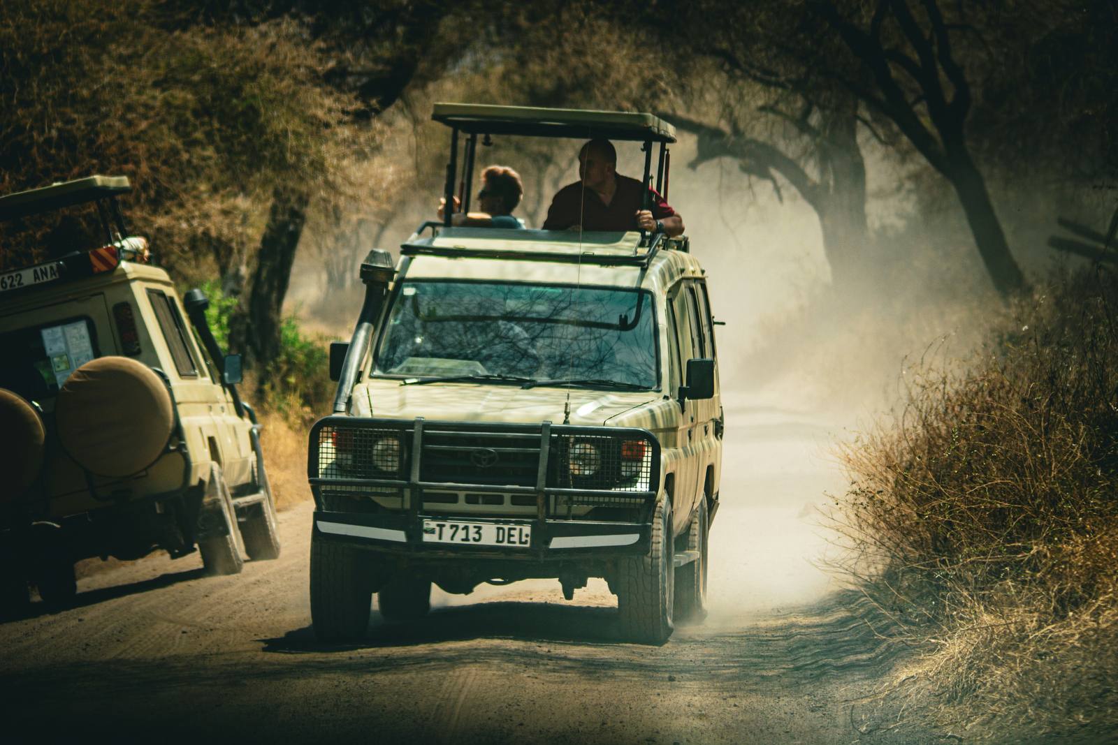 Mid-Range Classic Tanzania Safari Circuit — photo 2