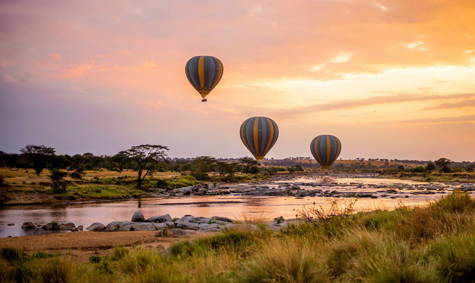 Luxury Kenya & Tanzania Migration Highlights — Lake Nakuru, Maasai Mara, Serengeti, Ngorongoro, Tarangire, Amboseli