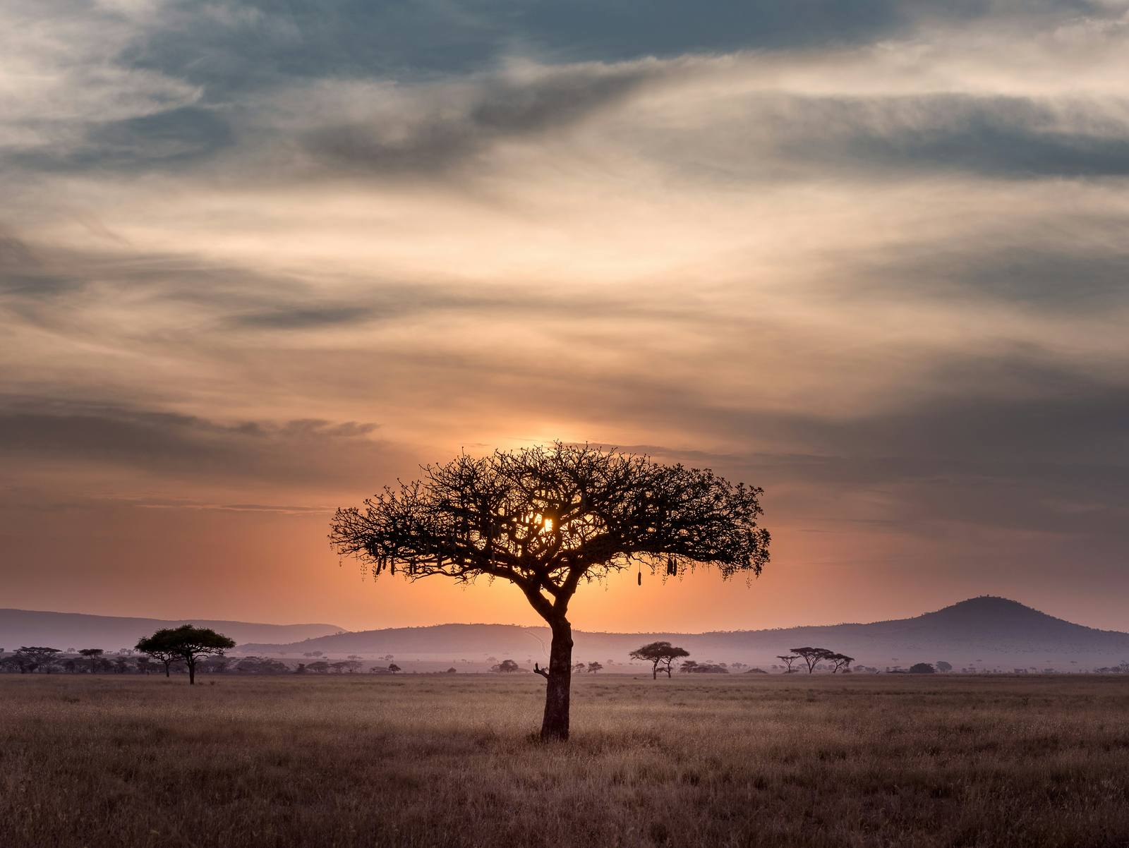 Honeymoon Serengeti Tanzania Migration Safari — Arusha, Tarangire, Serengeti, Ngorongoro
