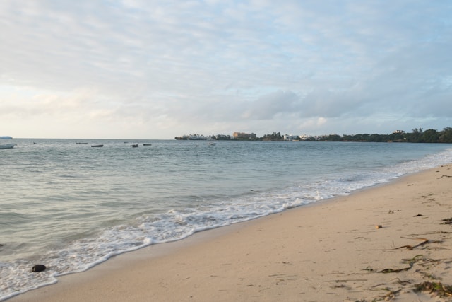 Diani & Mombasa Coast