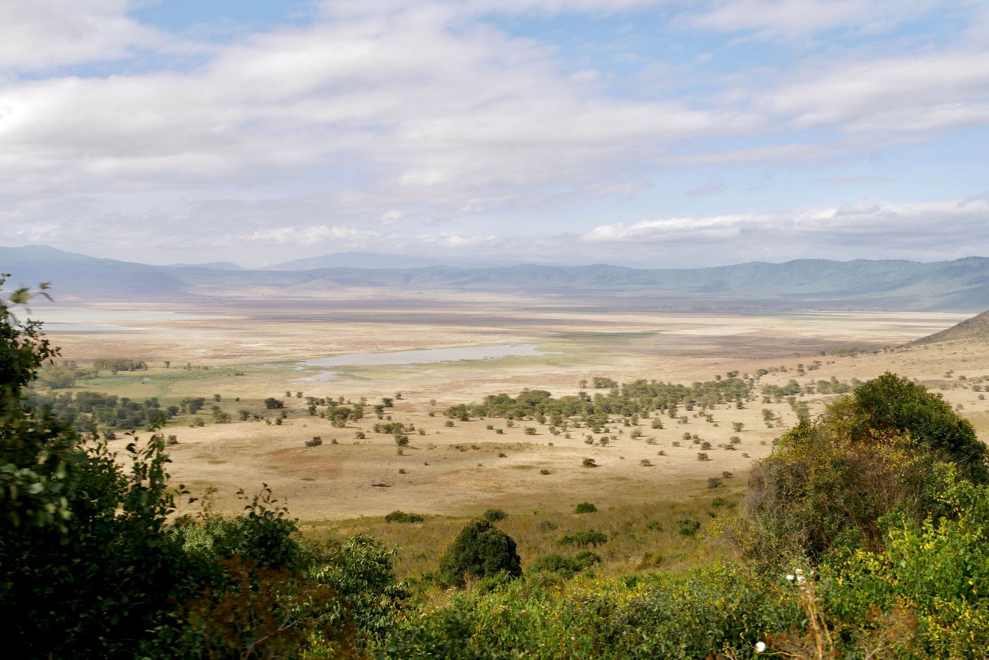 Ngorongoro Crater